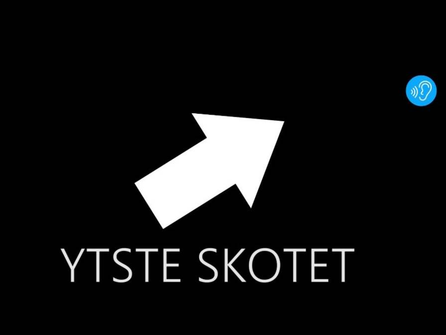 AG 32 Yste skotet